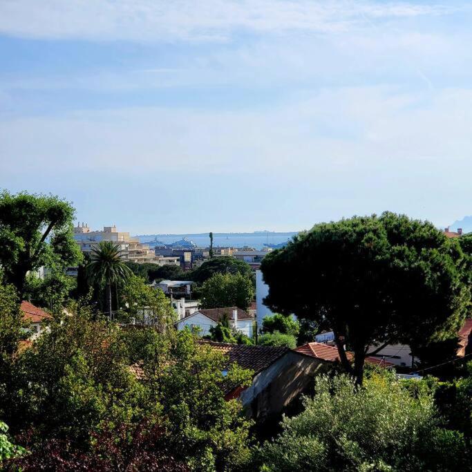 Grand Studio Localisation Ideale Antibes Exteriör bild