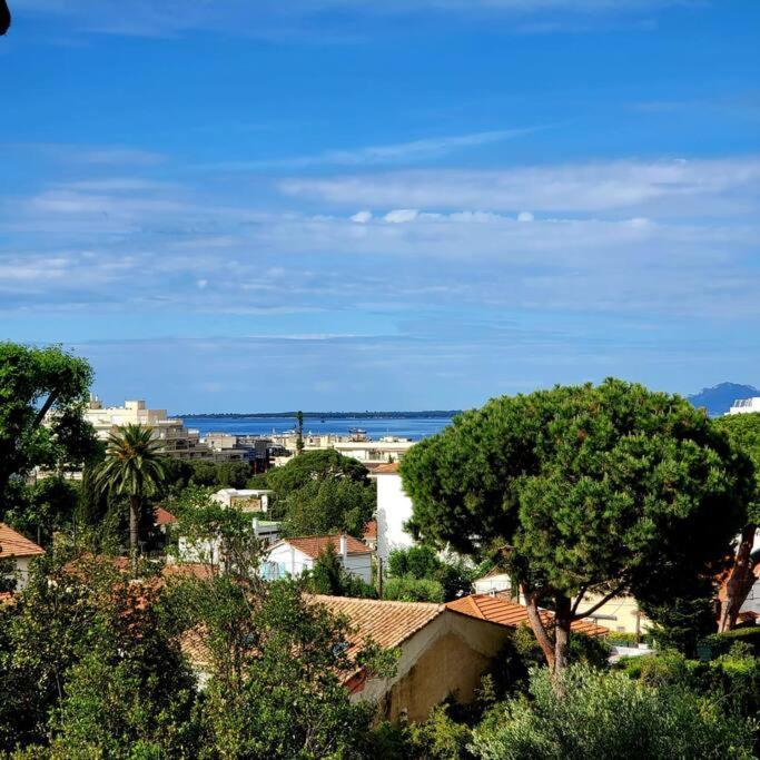 Grand Studio Localisation Ideale Antibes Exteriör bild