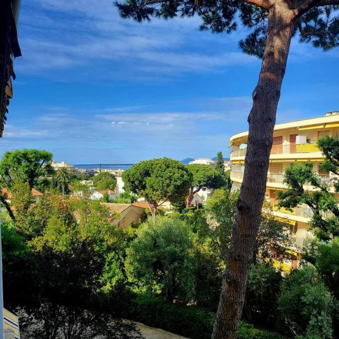 Grand Studio Localisation Ideale Antibes Exteriör bild